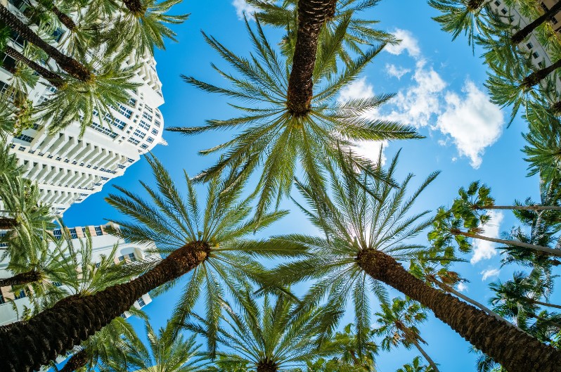 Miami Beach