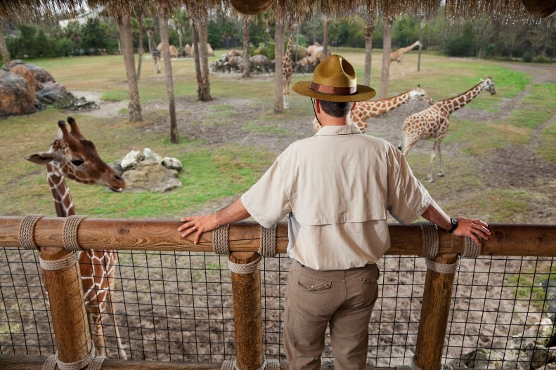 Munih Gezilecek Yerler Hellabrunn Zoo